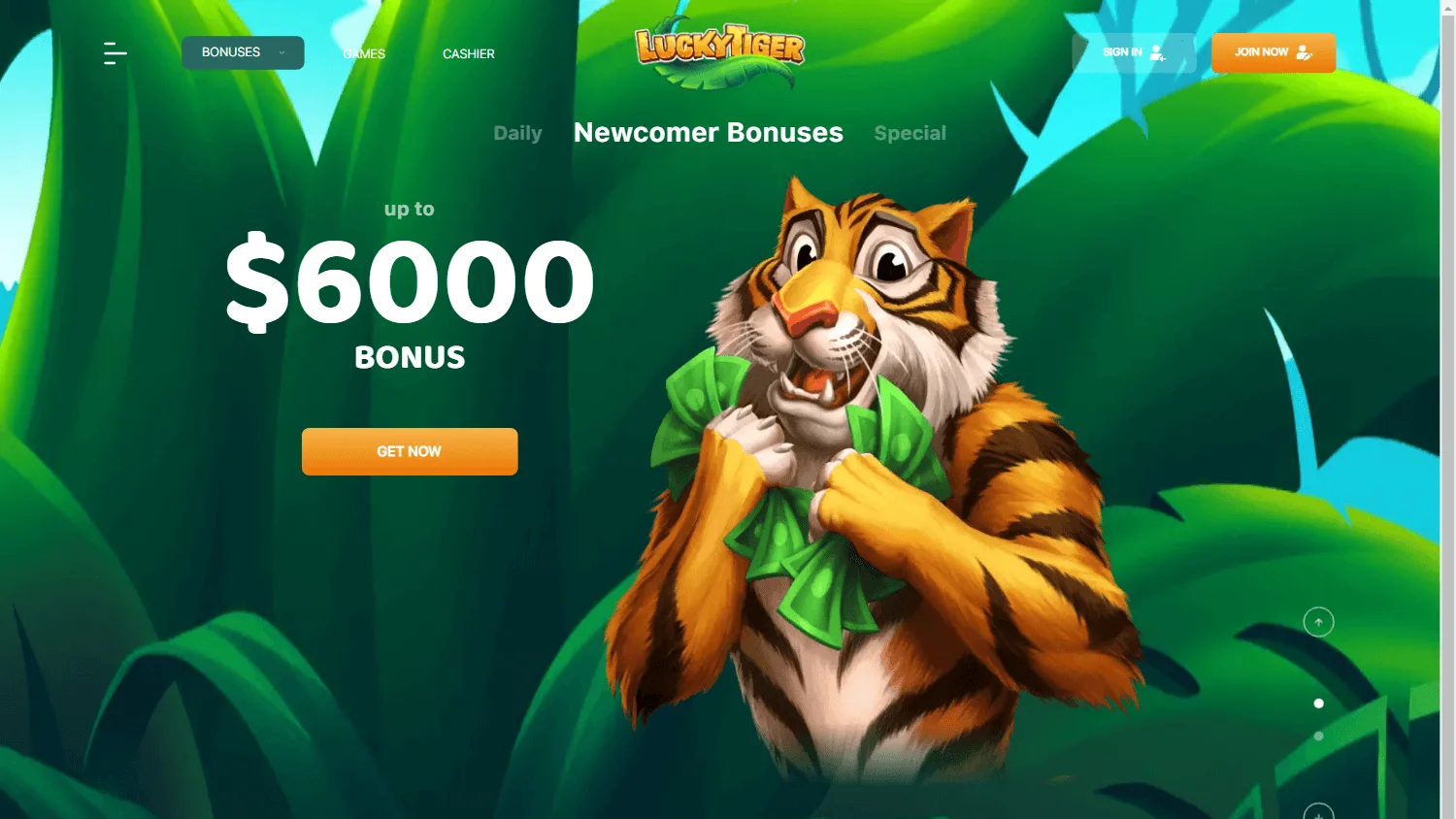 Lucky Tiger Casino desktop promotions area with available offers